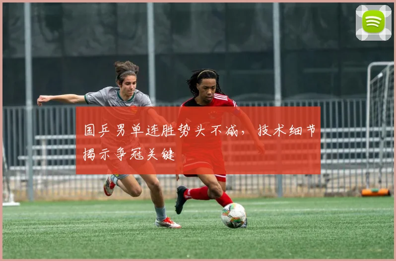 国乒男单连胜势头不减，技术细节揭示争冠关键