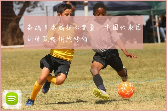 备战节奏成核心变量，中国代表团训练策略悄然转向