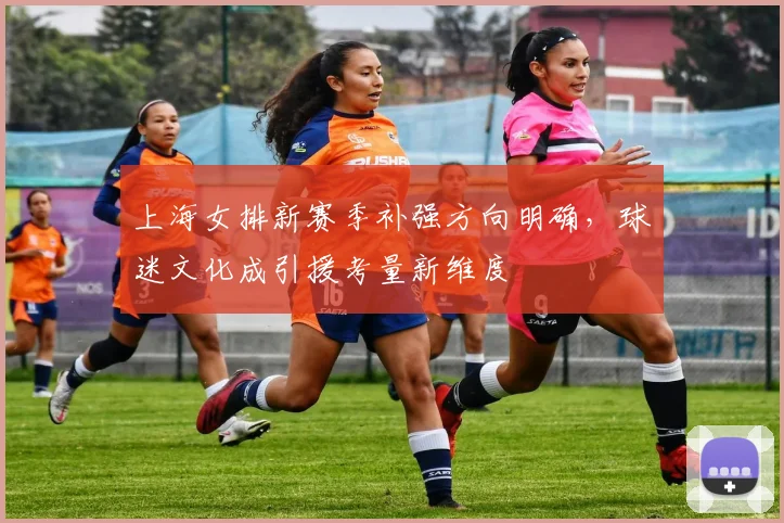 上海女排新赛季补强方向明确，球迷文化成引援考量新维度